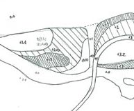 topographic project